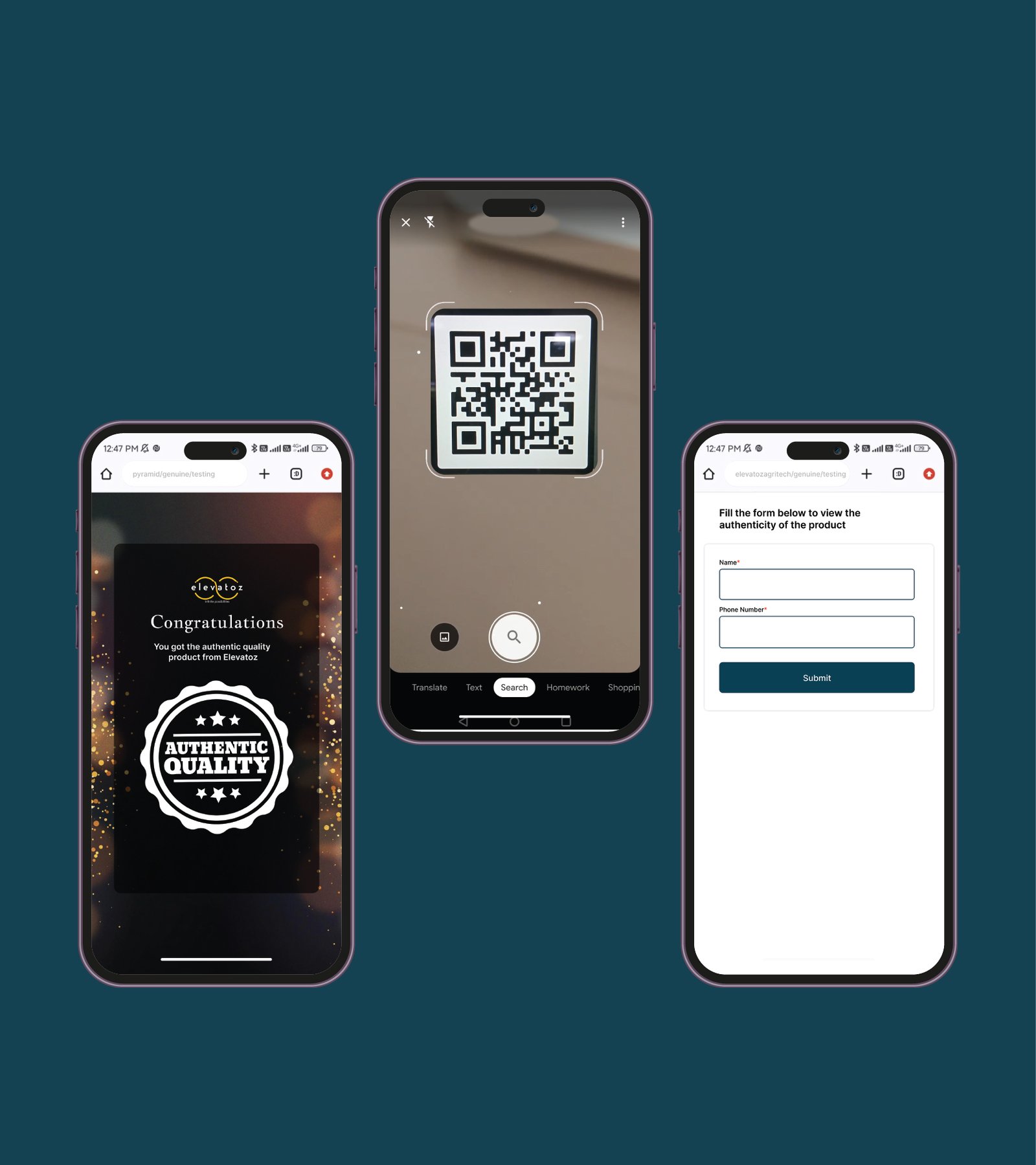 Verification Result Screen