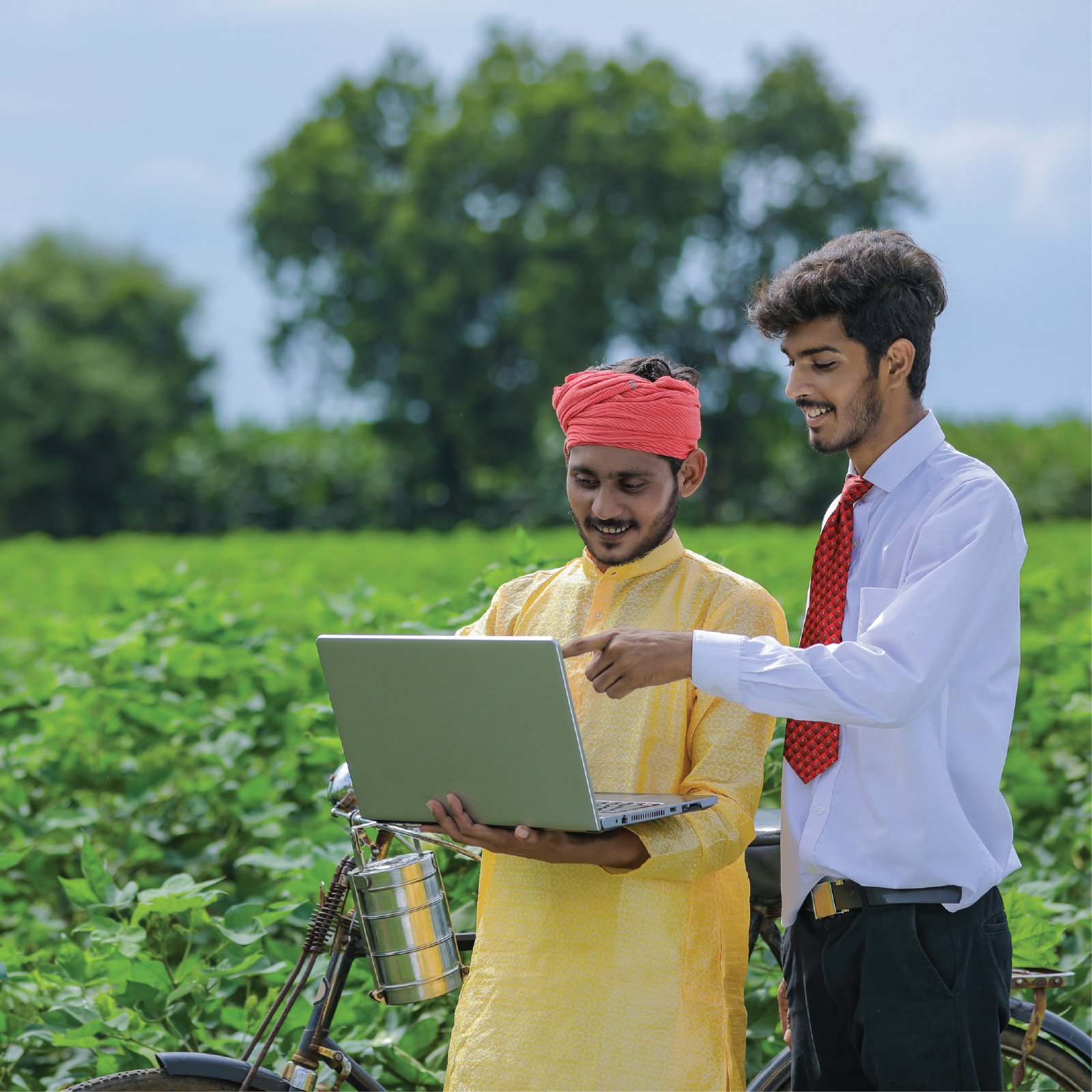 Agri-Inputs & Seeds Industry